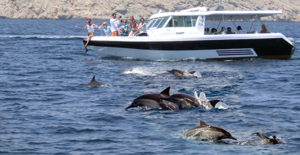 Omani Dhow Trip