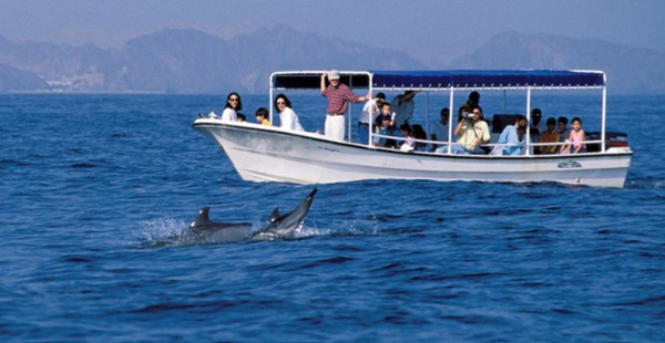 DOLPHIN WATCHING (02 Hours Tour)