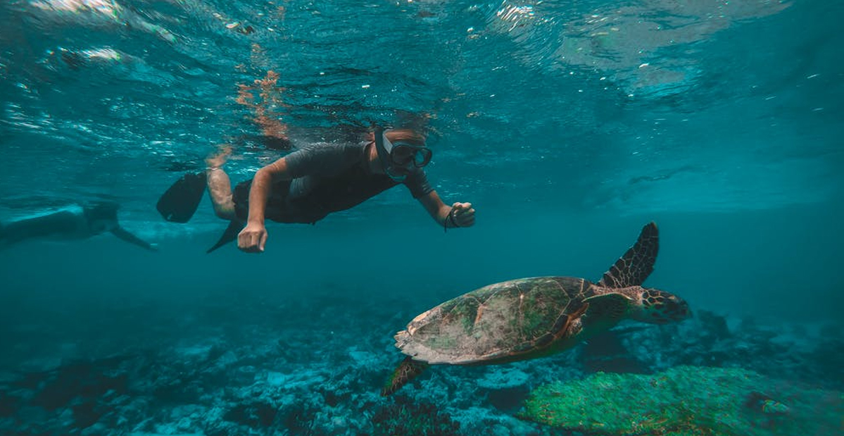 SNORKELING IN BANDAR KAIRAN ( 02 Hours Tour )