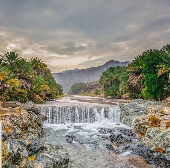 What are unique things to do in Oman