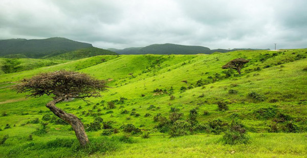 Full day East and West (Al Mughsail, Salalah, Taqah)