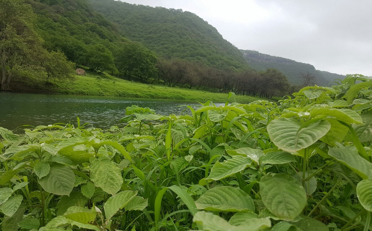 salalah tourist packages from dubai