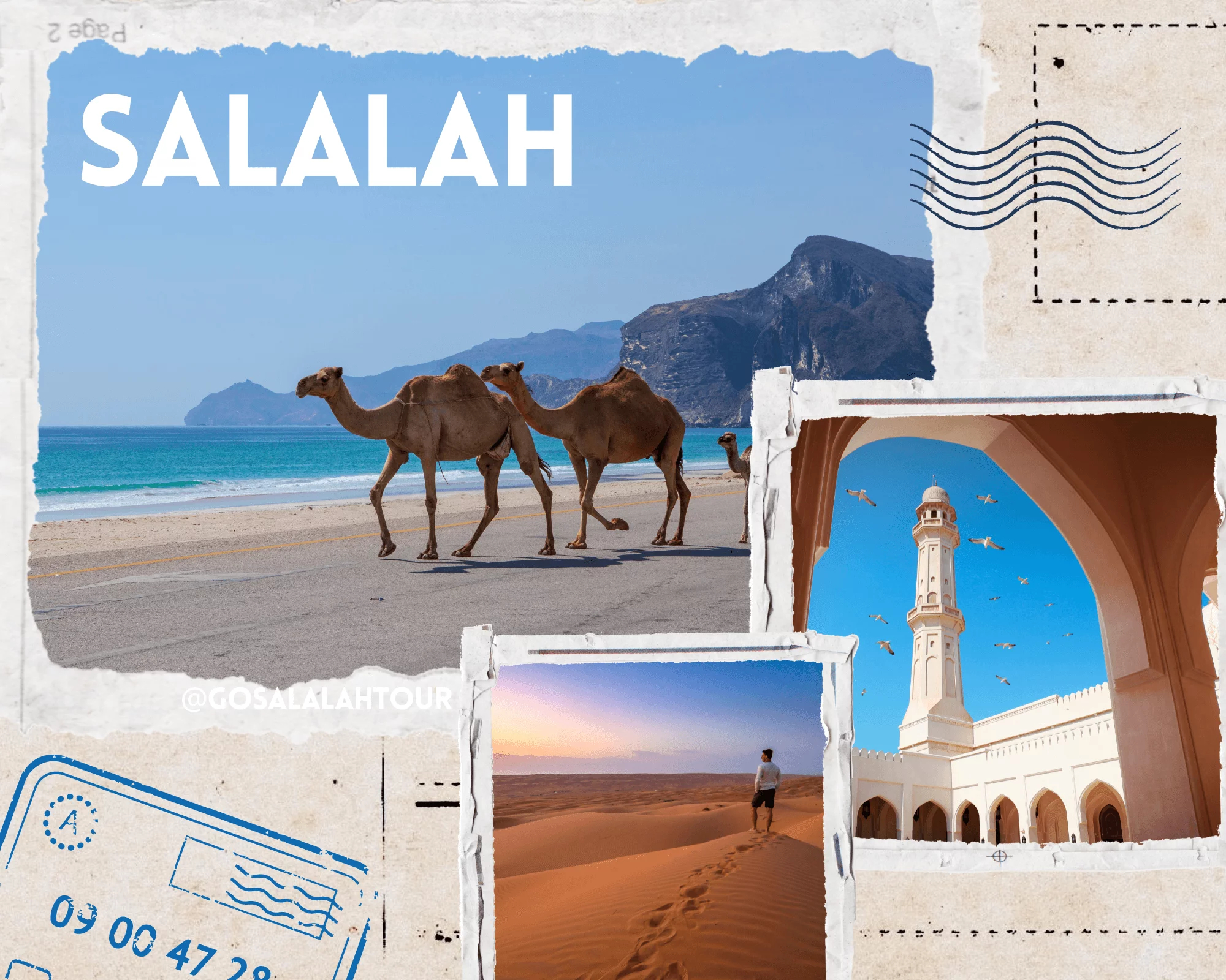 Salalah Tour Packages: A Deeper Dive into the Green Jewel of Oman